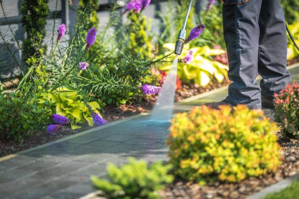 Best Sidewalk and Walkway Cleaning  in Burbank, CA